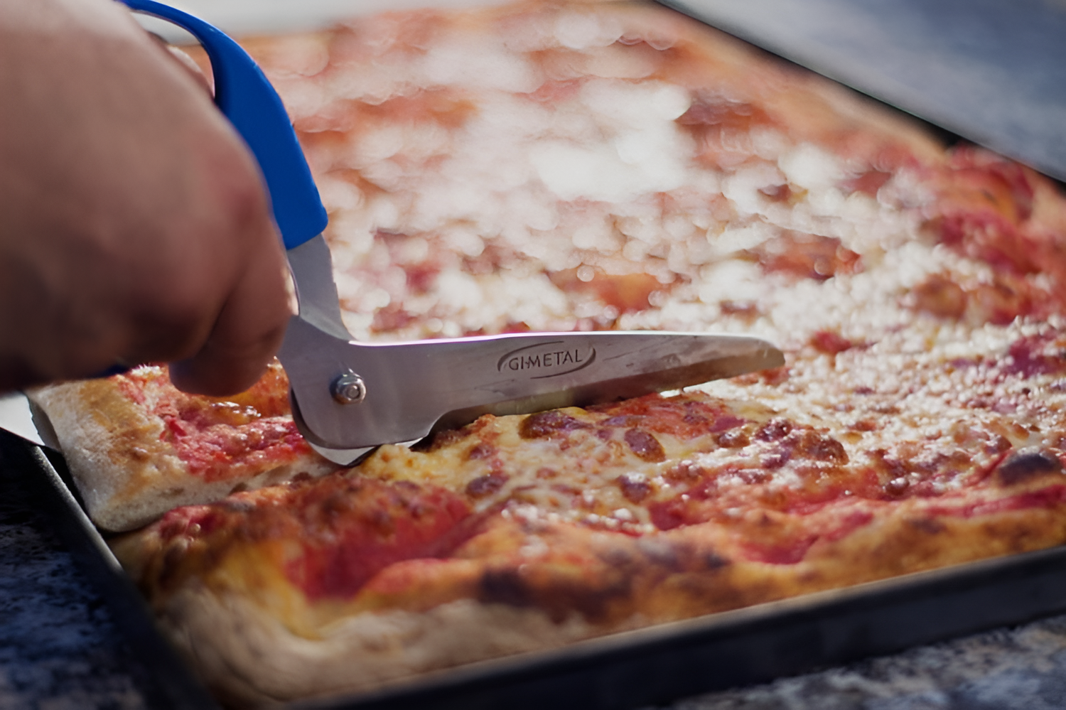 Stainless Steel Pizza Scissors