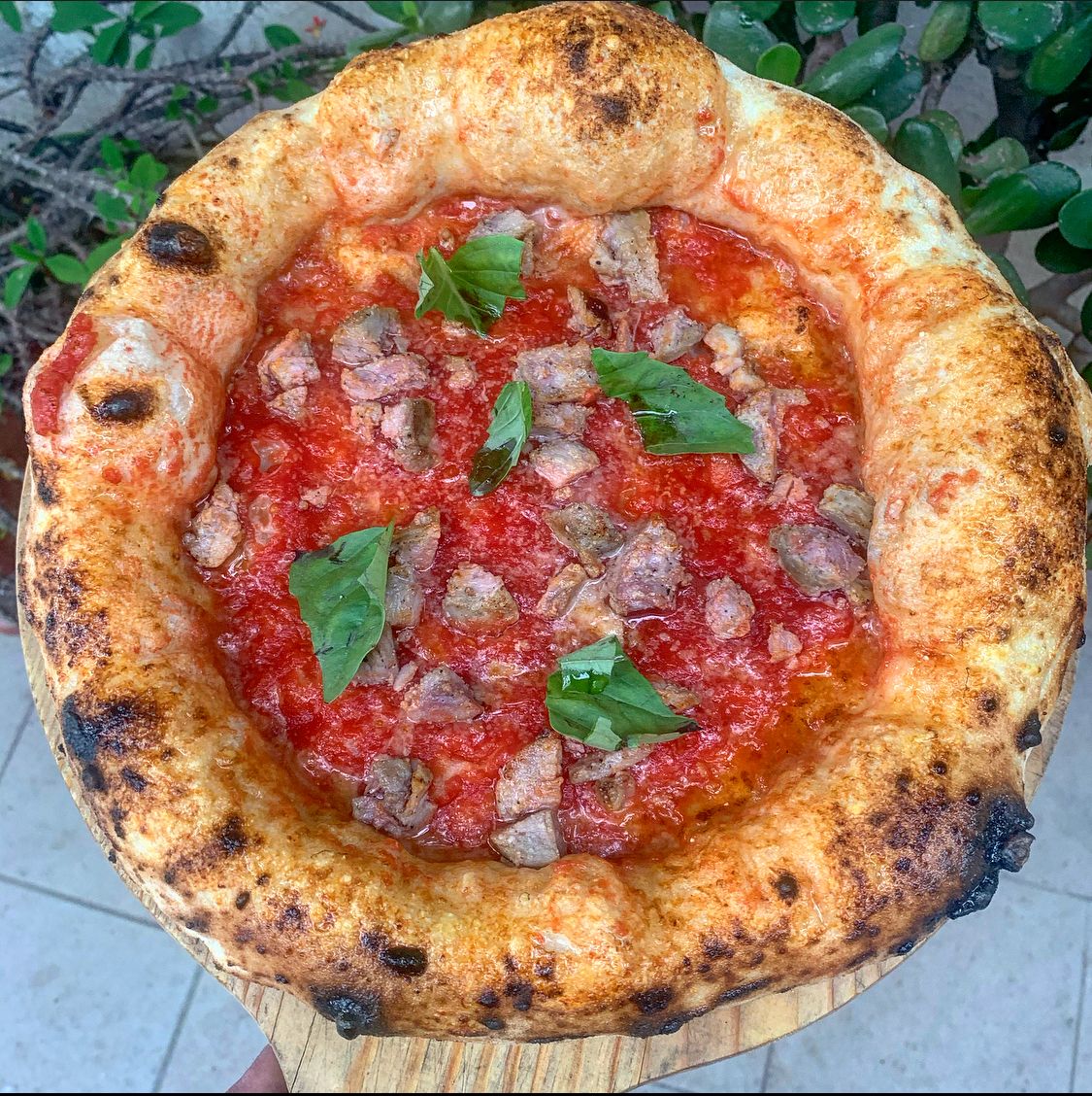 Terramagna San Marzano DOP Whole Peeled Tomatoes 2.5kg/5.5lbs