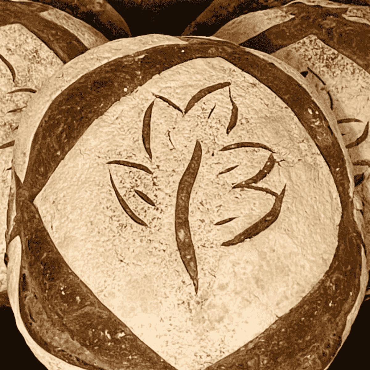 Foricher CRC T80 Stoneground French Flour (Farine de Meule) – 25kg/55lbs