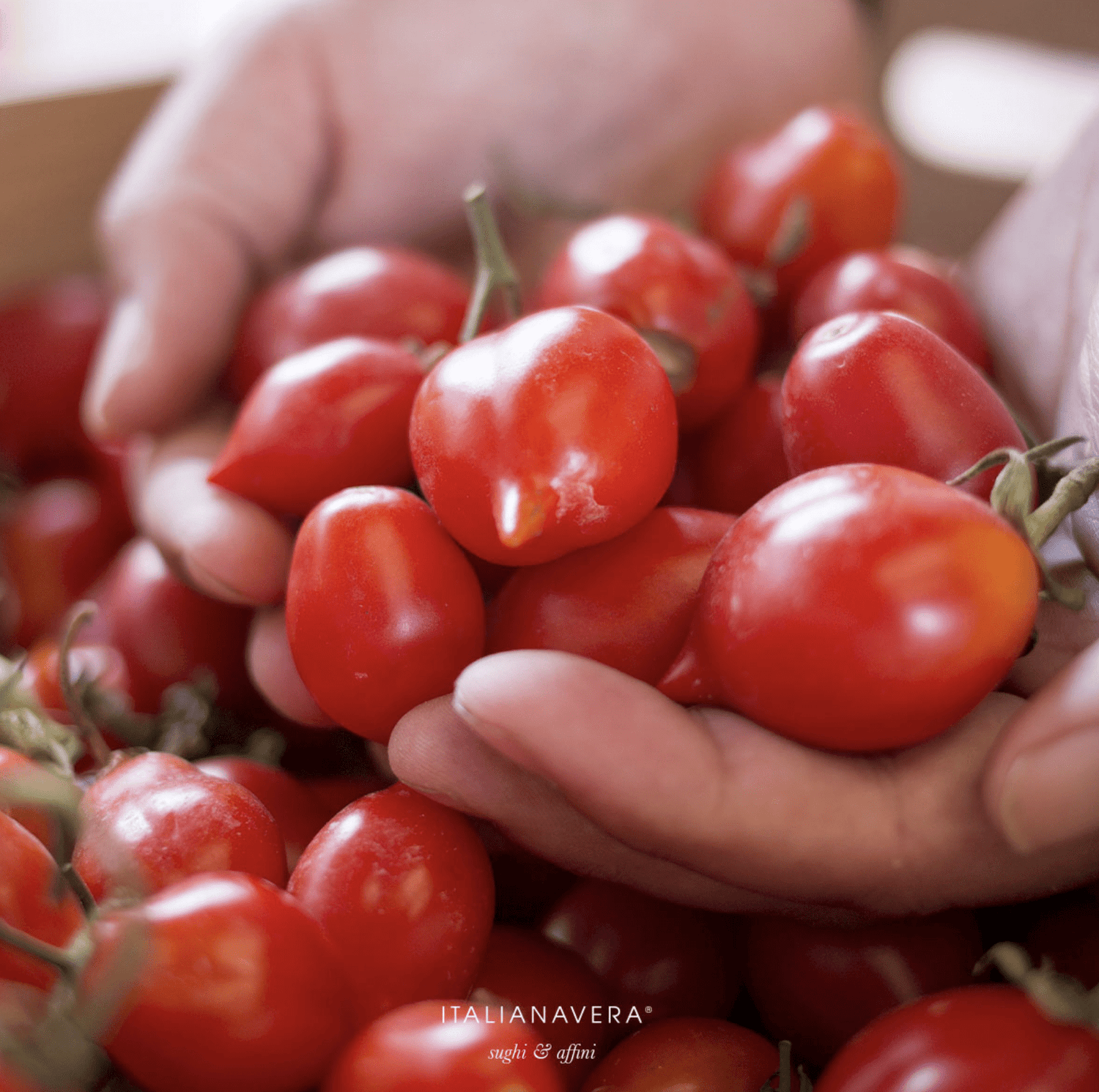 Italianavera Passata di Pomodoro 400g/14oz