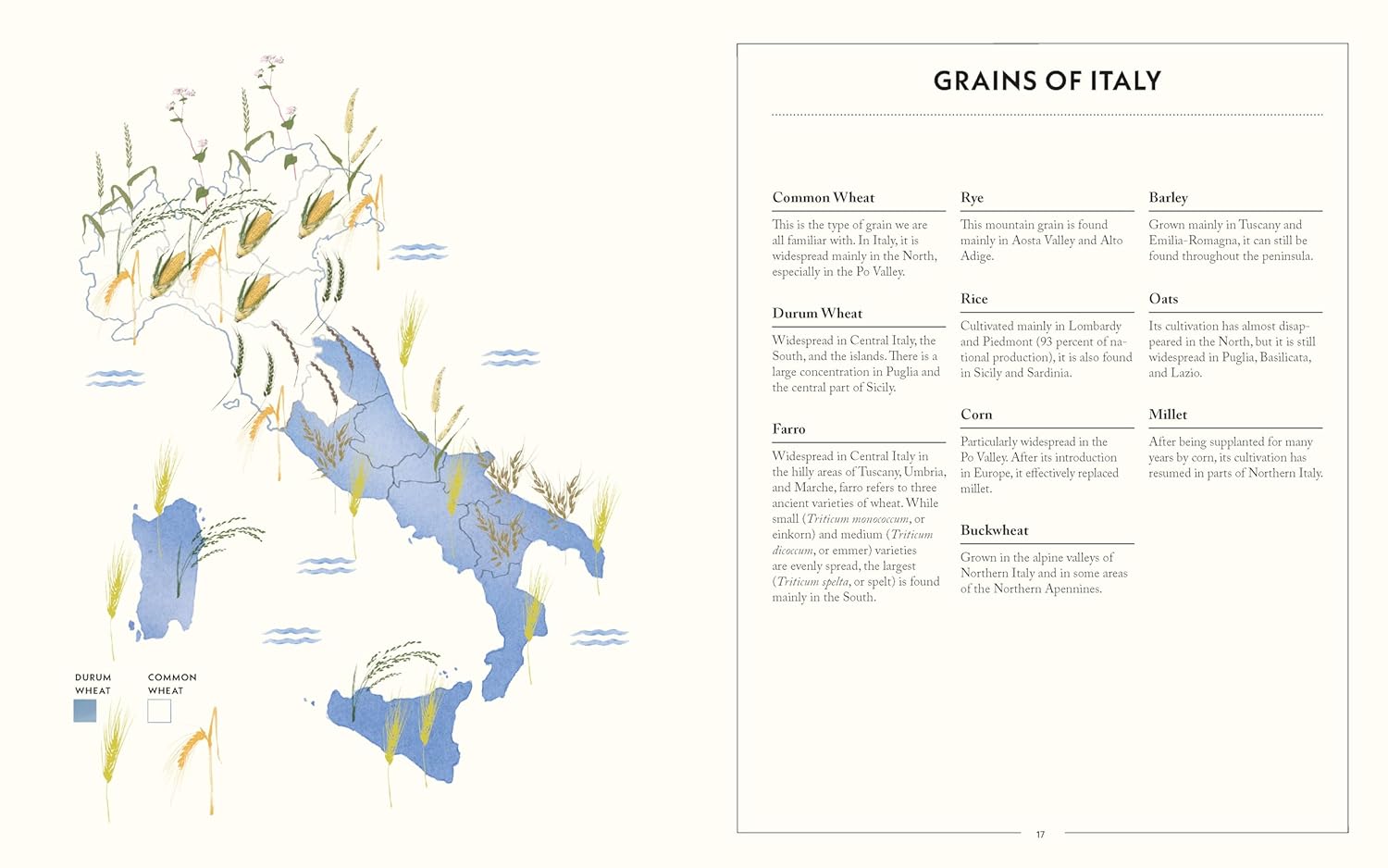 Mastering Italian Breads: Recipes and Techniques from Italy’s Most Celebrated Breadmaker