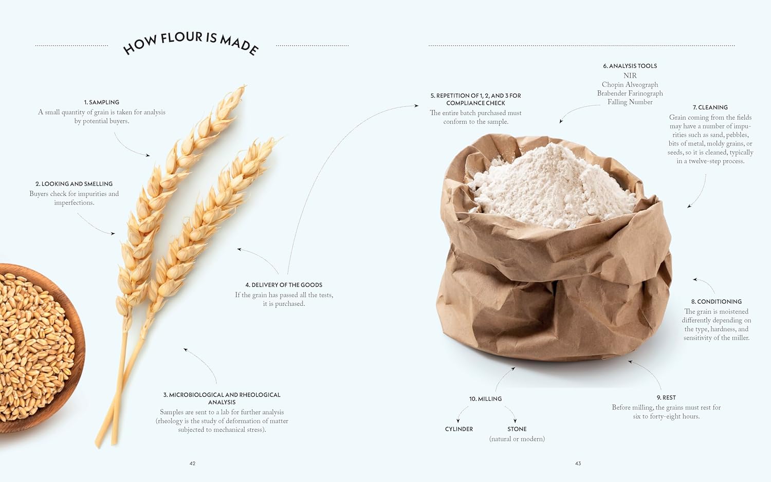 Mastering Italian Breads: Recipes and Techniques from Italy’s Most Celebrated Breadmaker