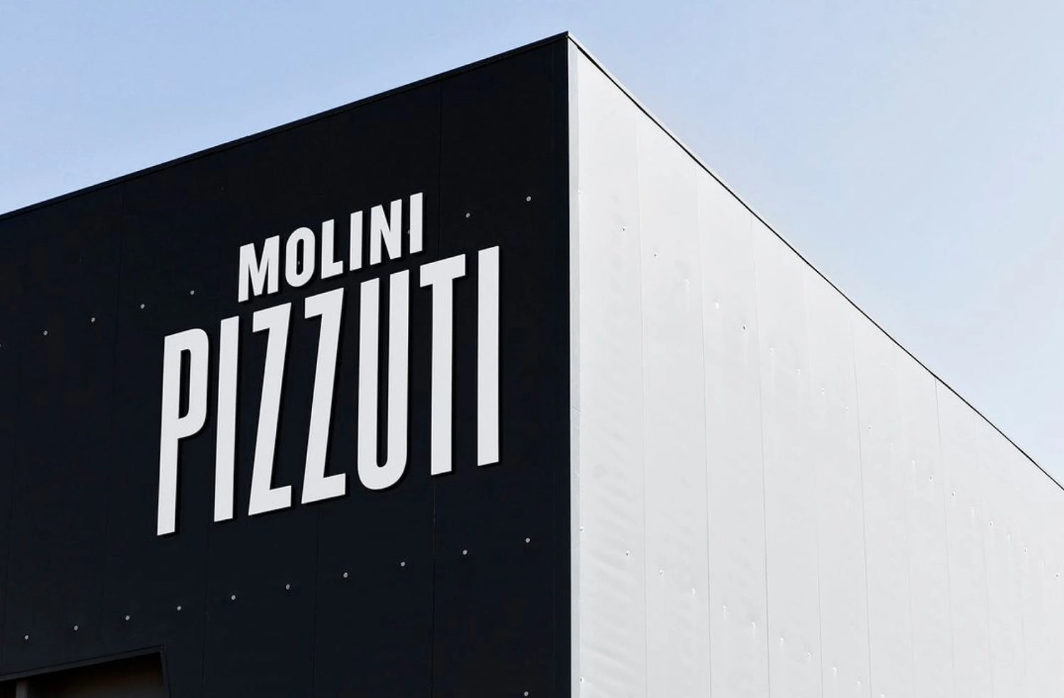 Molini Pizzuti - Instant Dry Yeast (500gr)