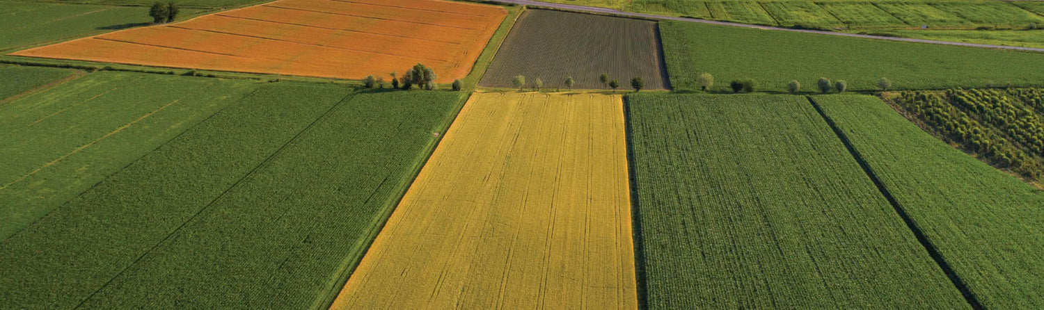 Mulino Padano S20 Tipo 00 Pizza Flour – Long Proofing (12.5kg/28lbs)