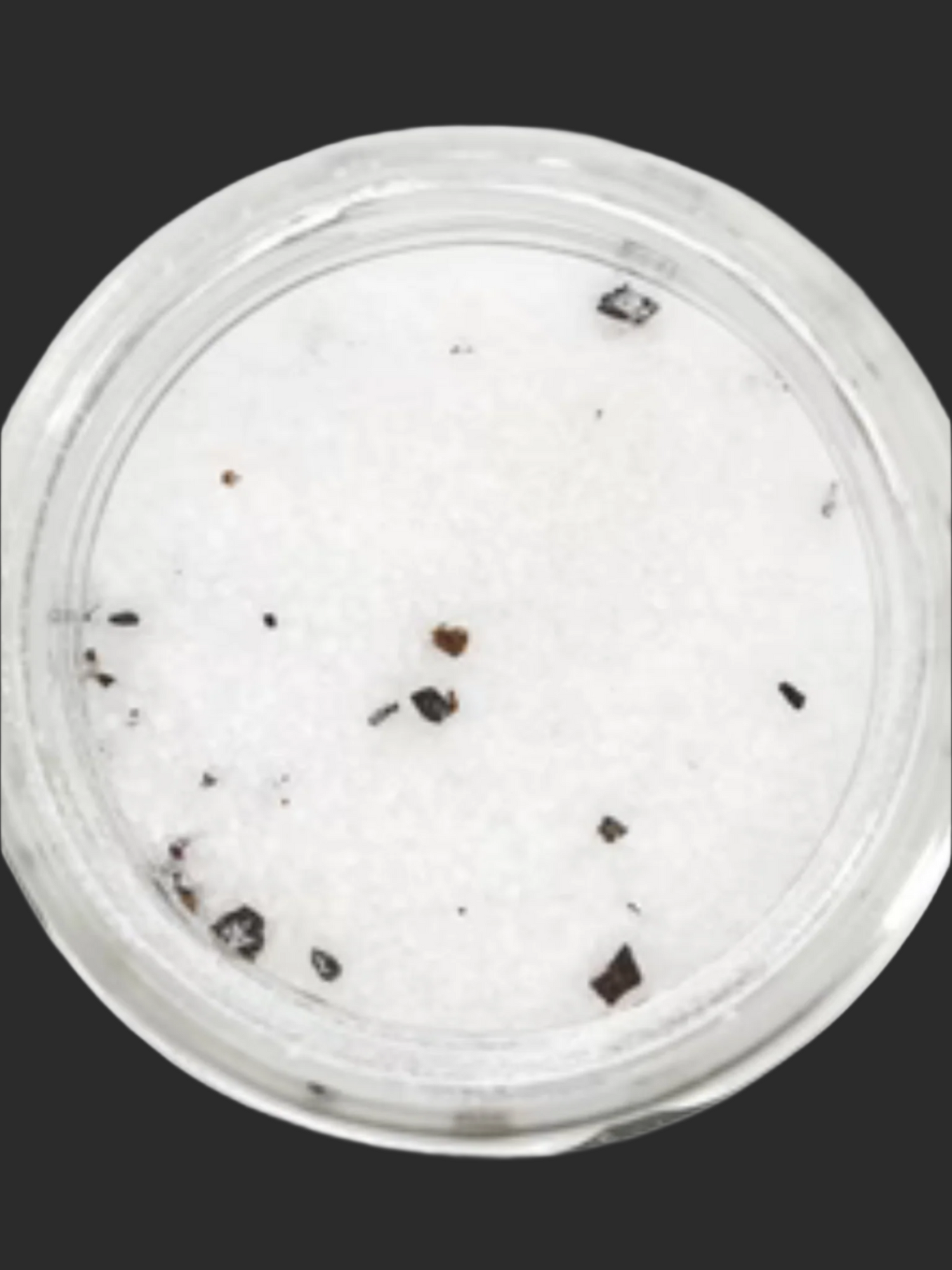 White Truffle Salt 50 gr / 1.8 oz