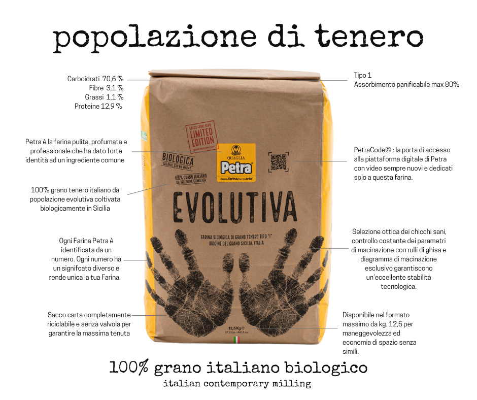 Petra 0201 Evolutiva Organic Tipo 1 Flour (2.5kg/5.5lbs)