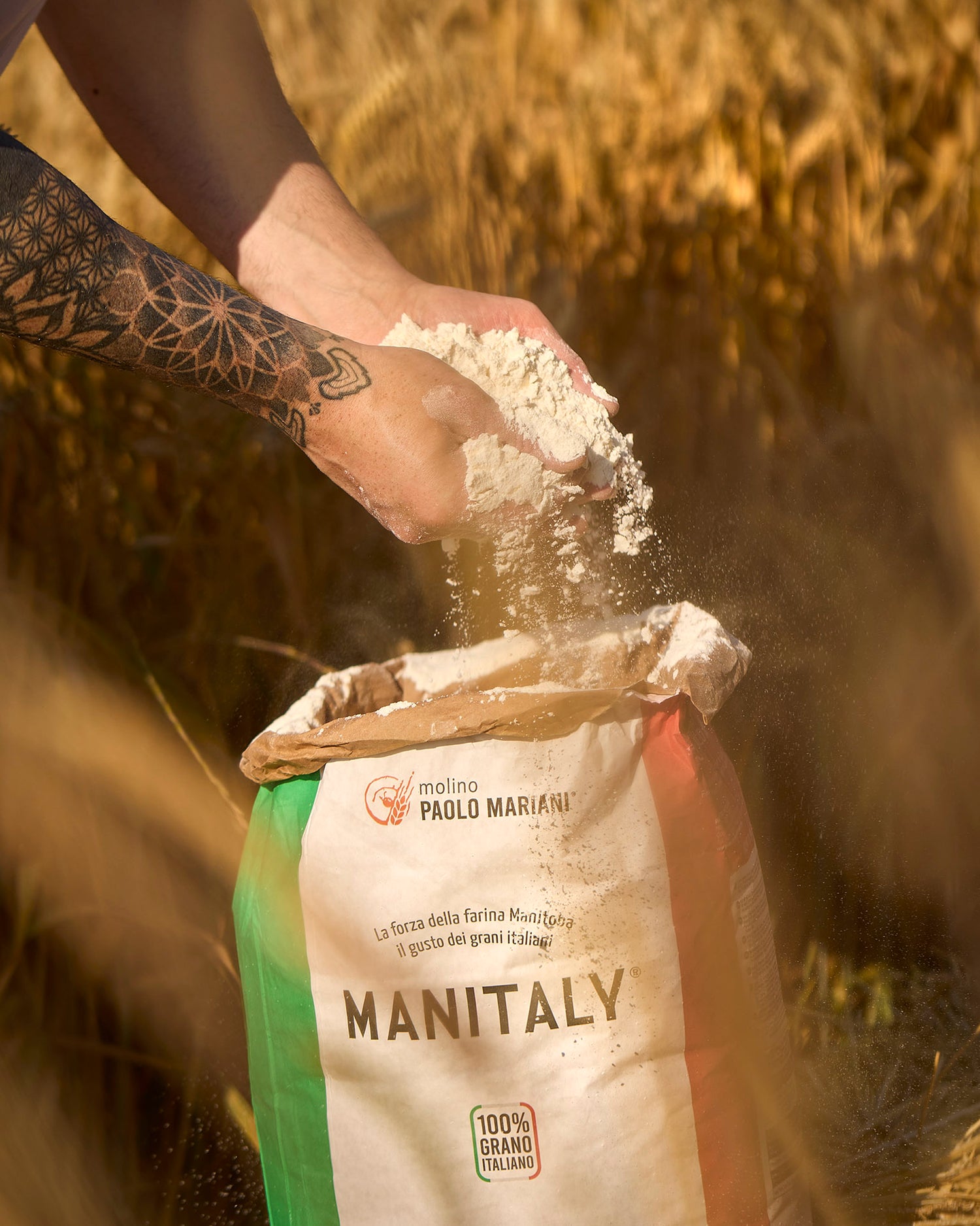 Molino Mariani Manitaly Manitoba flour from 100% Italian grains (25kg / 55 lbs)