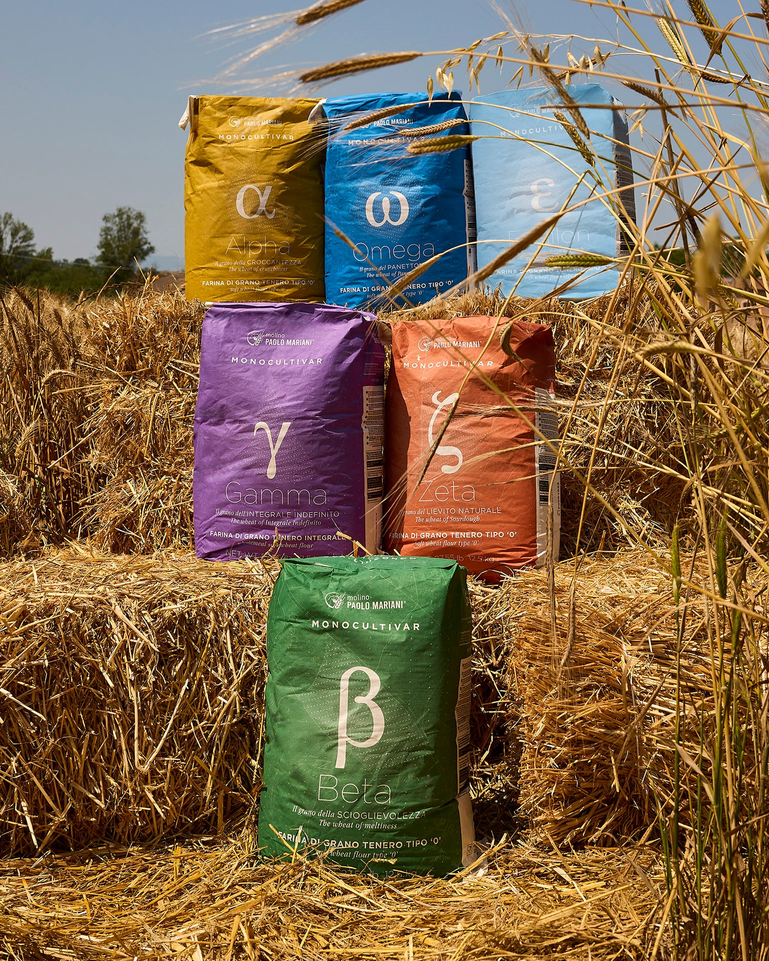 Molino Mariani Alpha Monocultivar flour ideal for crunchy dough (12.5kg/27.5lbs)