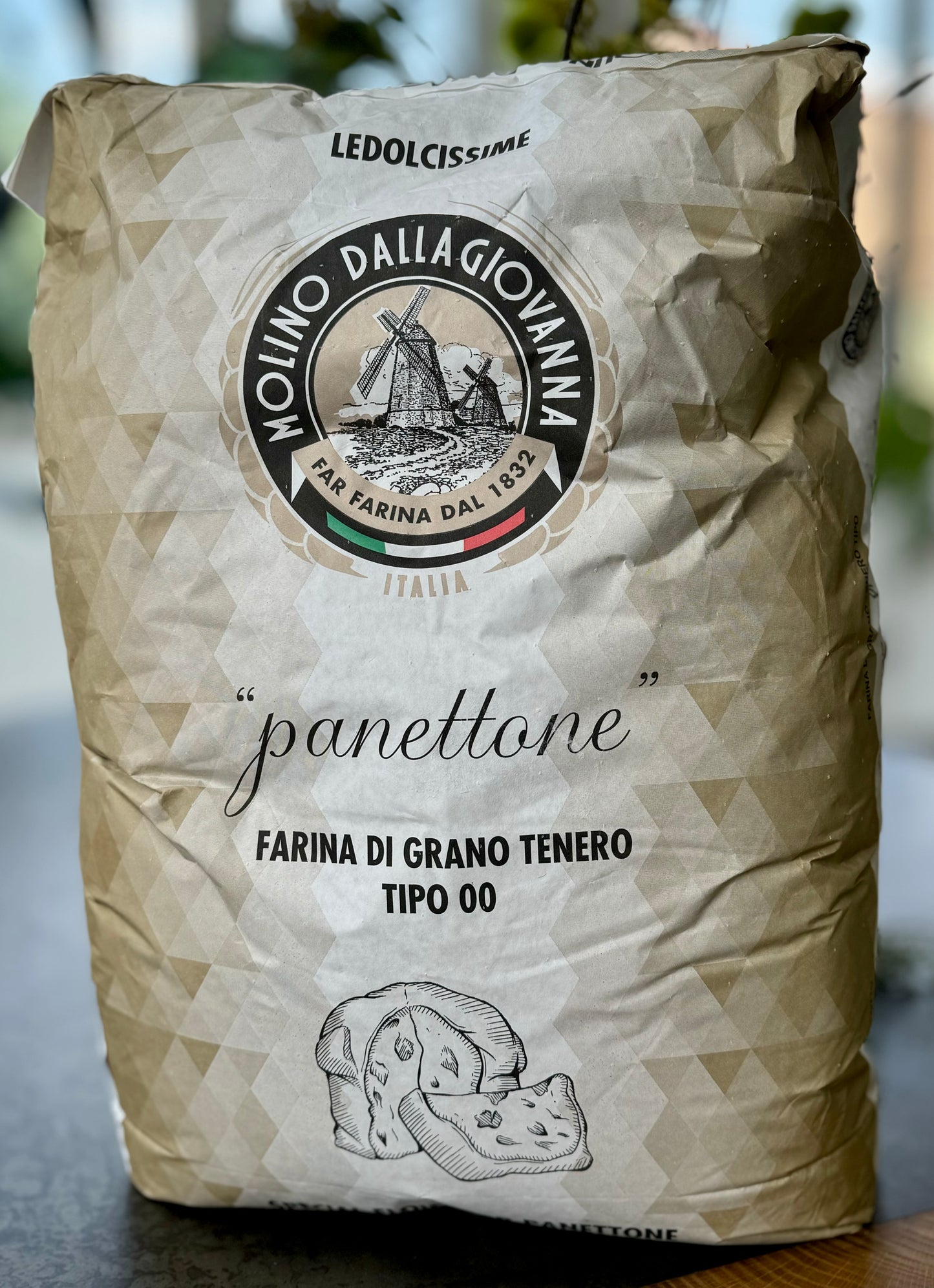 Dallagiovanna Panettone (25kg)