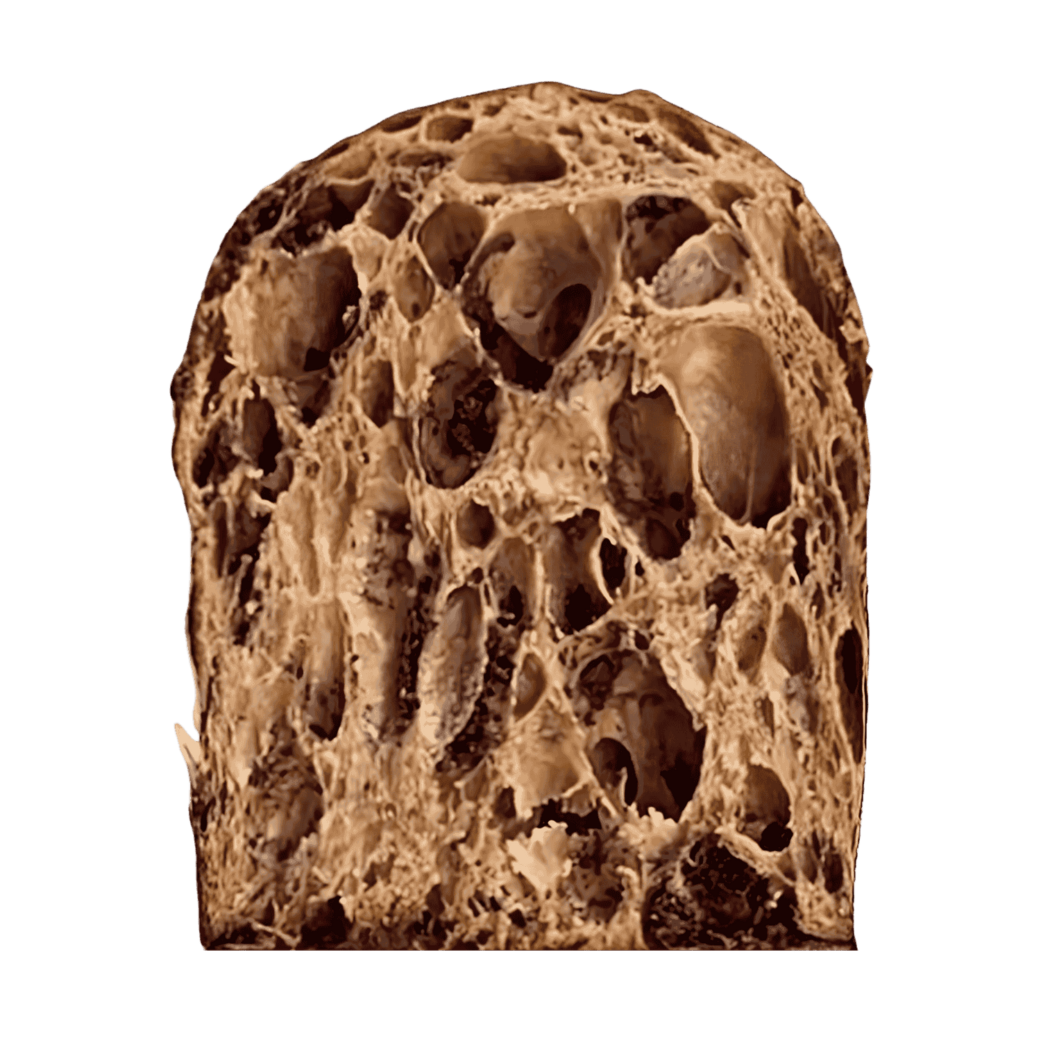 Caramel, Chocolate & Coffee Panettone by Baking Master Francesco di Salvo [MADE TO ORDER, LIMITED RUN]