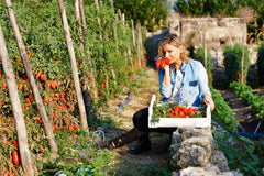 Italianavera tomato collection — editorial photograph