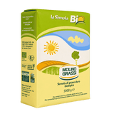Molino Grassi Organic Durum Wheat Semolina – Italian Semolina for Pasta, Bread & Pizza (11lbs/5kg)