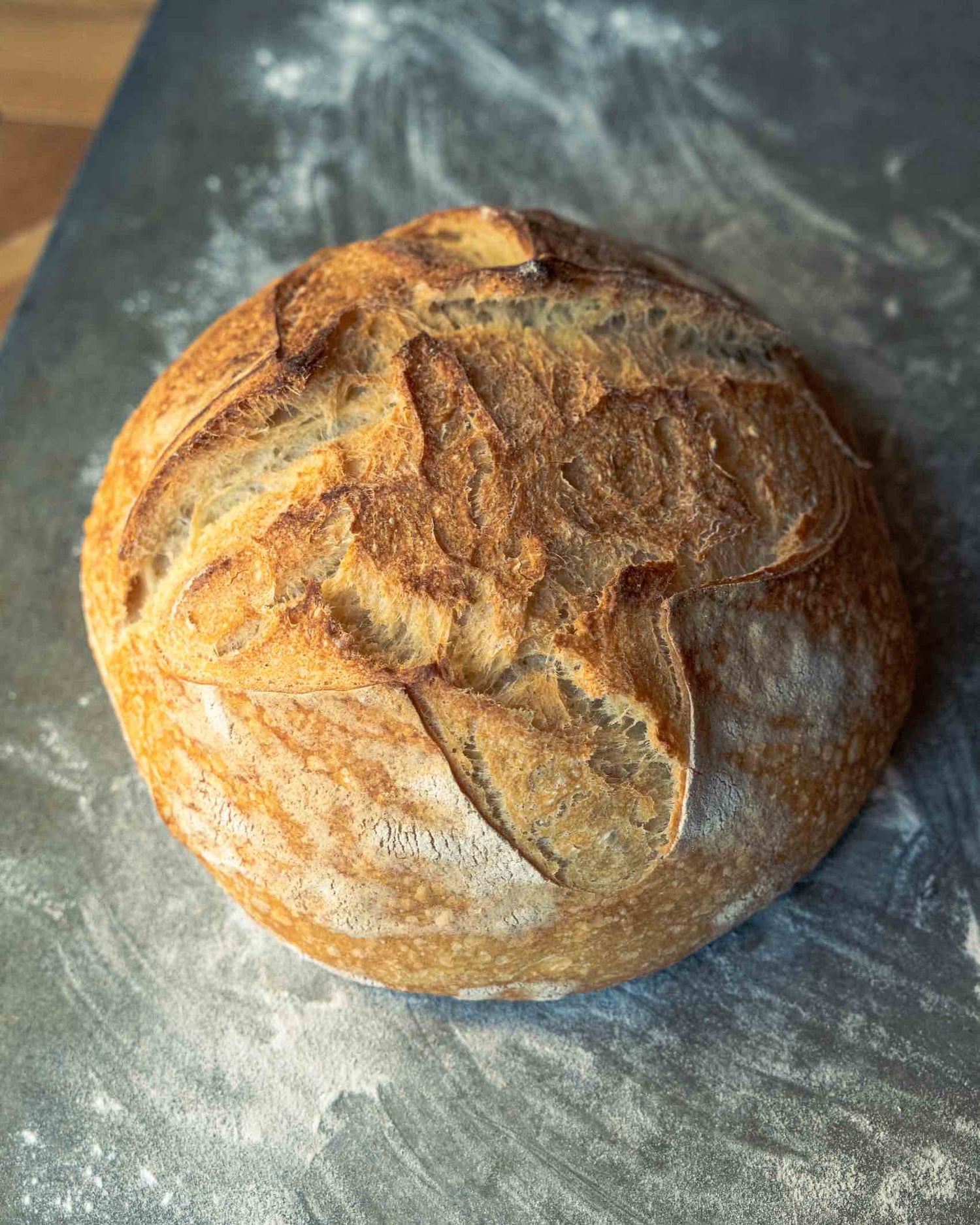 Mulino Marino Organic Durum Semola (1kg/2.2lbs)