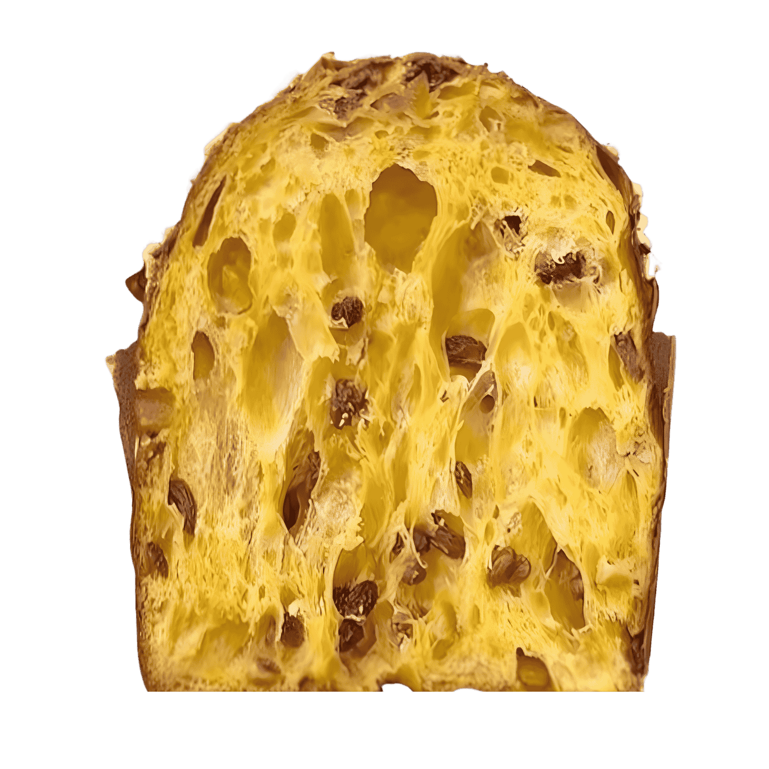 Orange & Raisins Panettone by Baking Master Francesco di Salvo [MADE TO ORDER, LIMITED RUN]