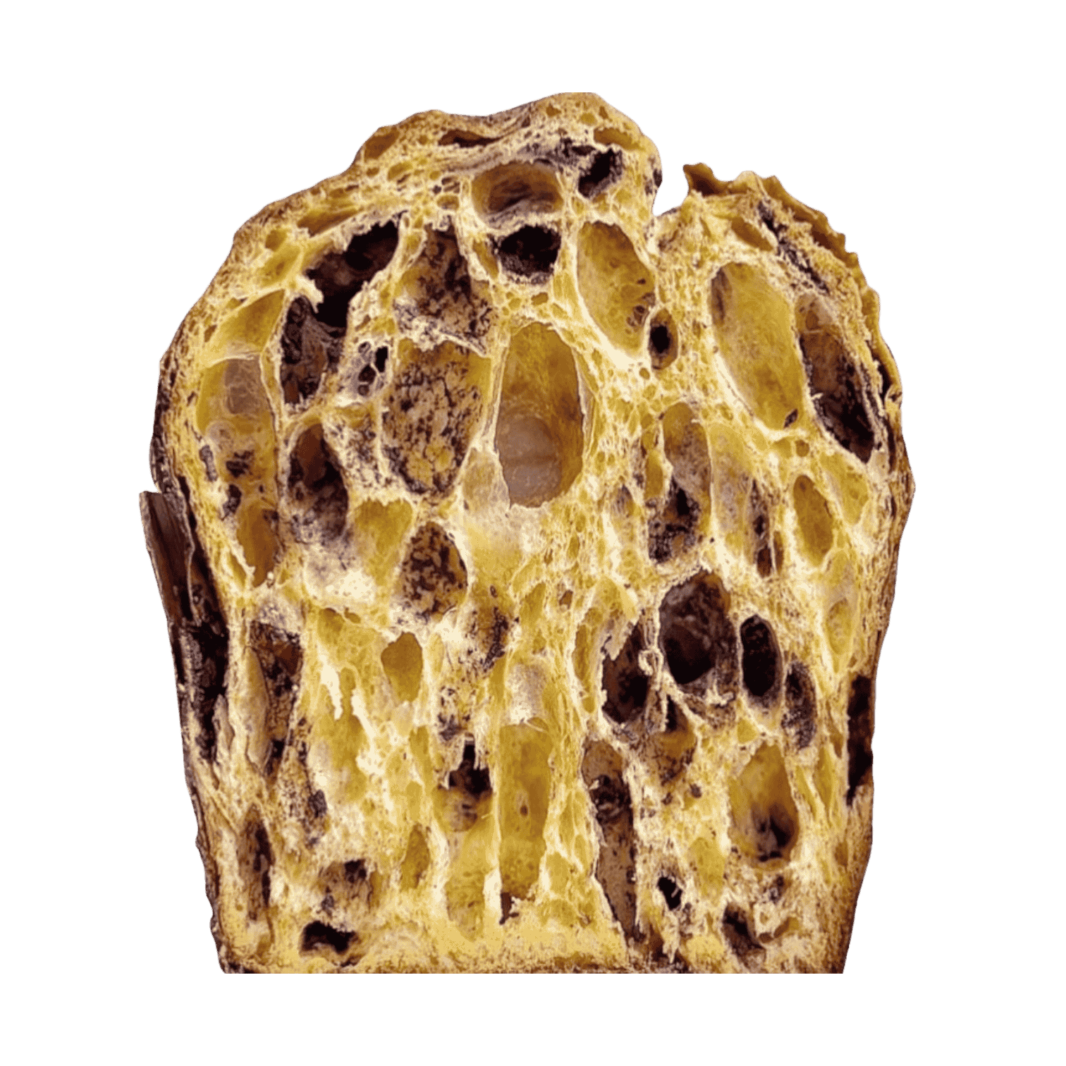 Triple Chocolate Panettone by Baking Master Francesco di Salvo [MADE T ...