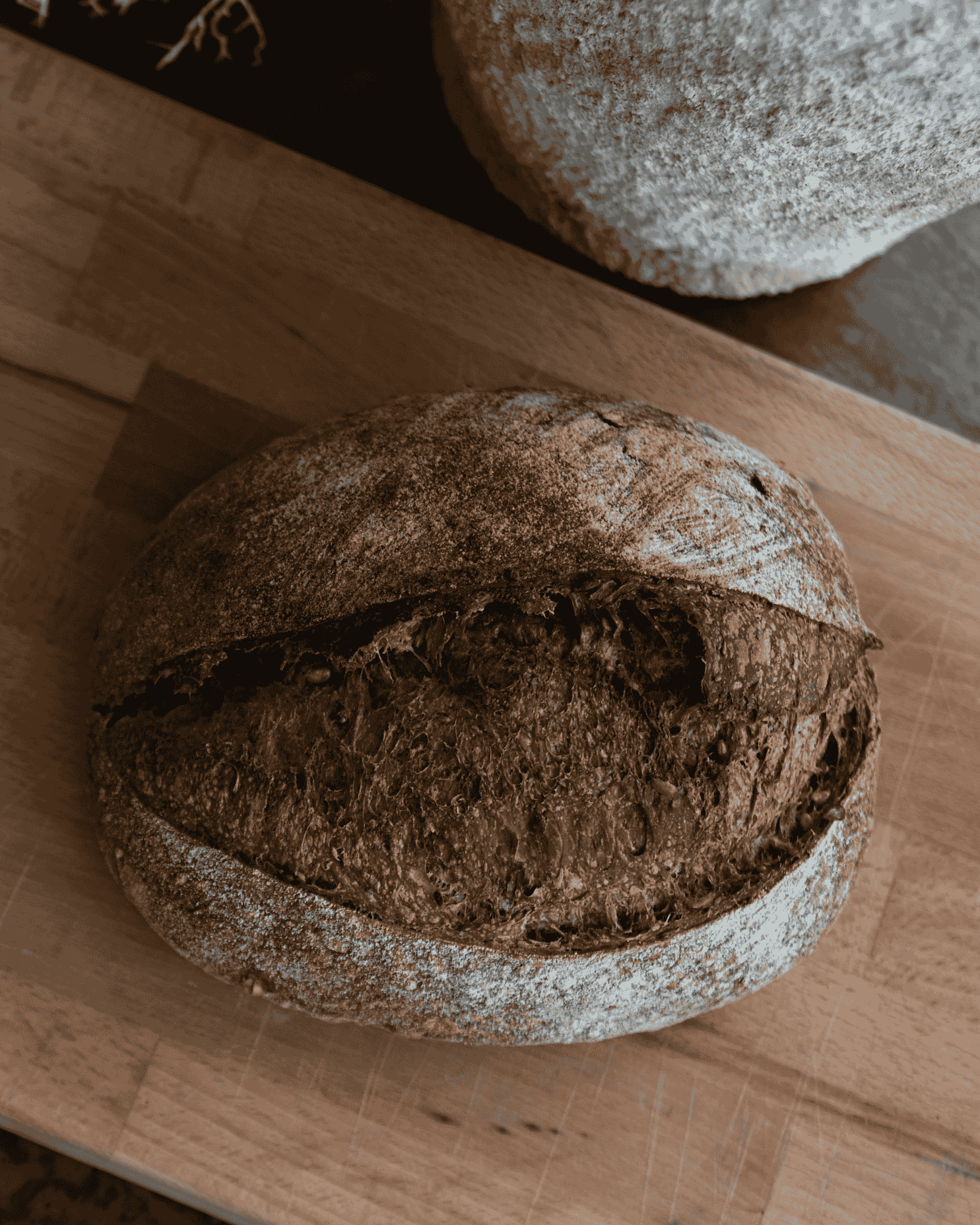 Award-winning Pasta Madre Sourdough