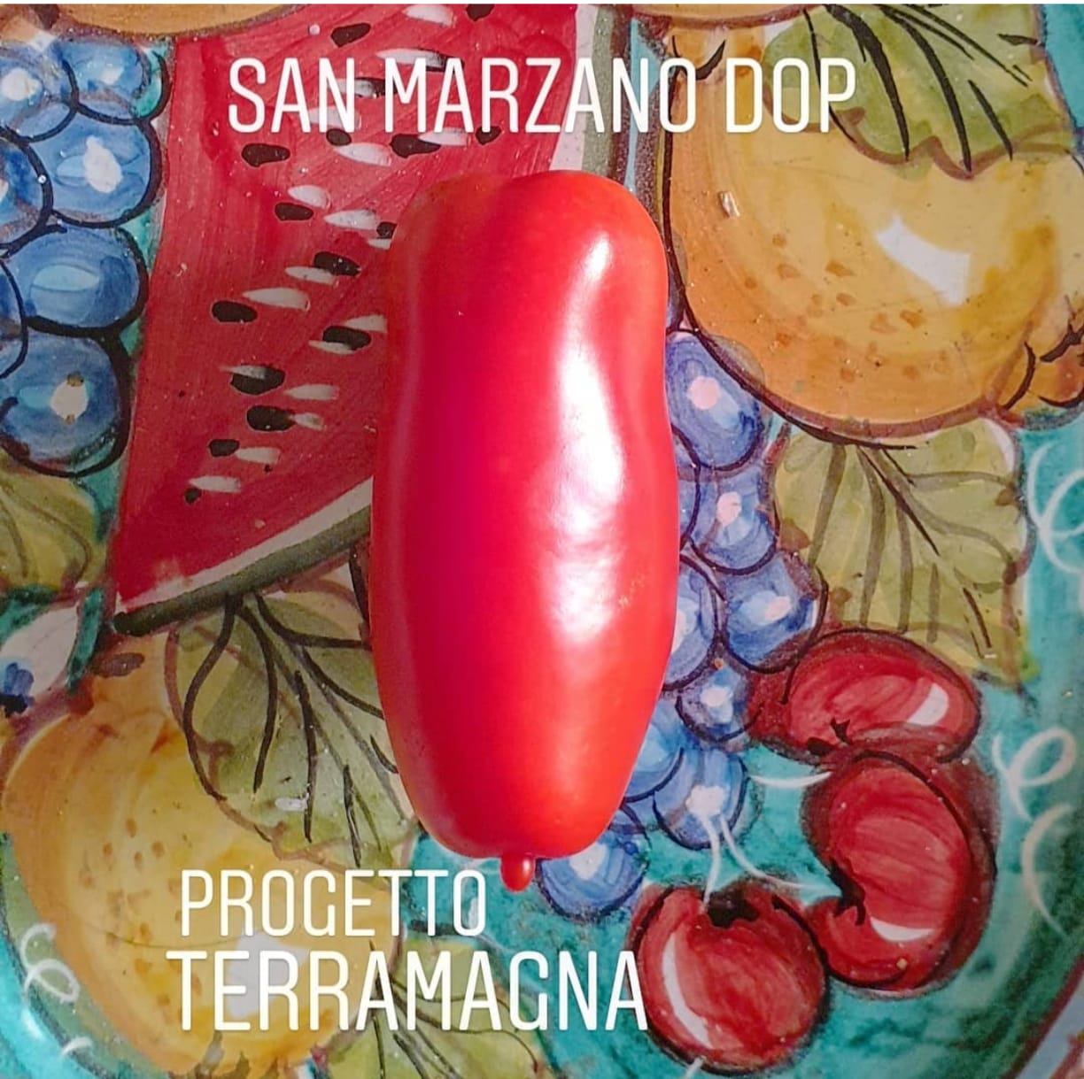 Terramagna San Marzano DOP Whole Peeled Tomatoes 2.5kg/5.5lbs