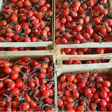 Terramagna Pomodorino Spunzillo in Tomato Juice 400g/14oz