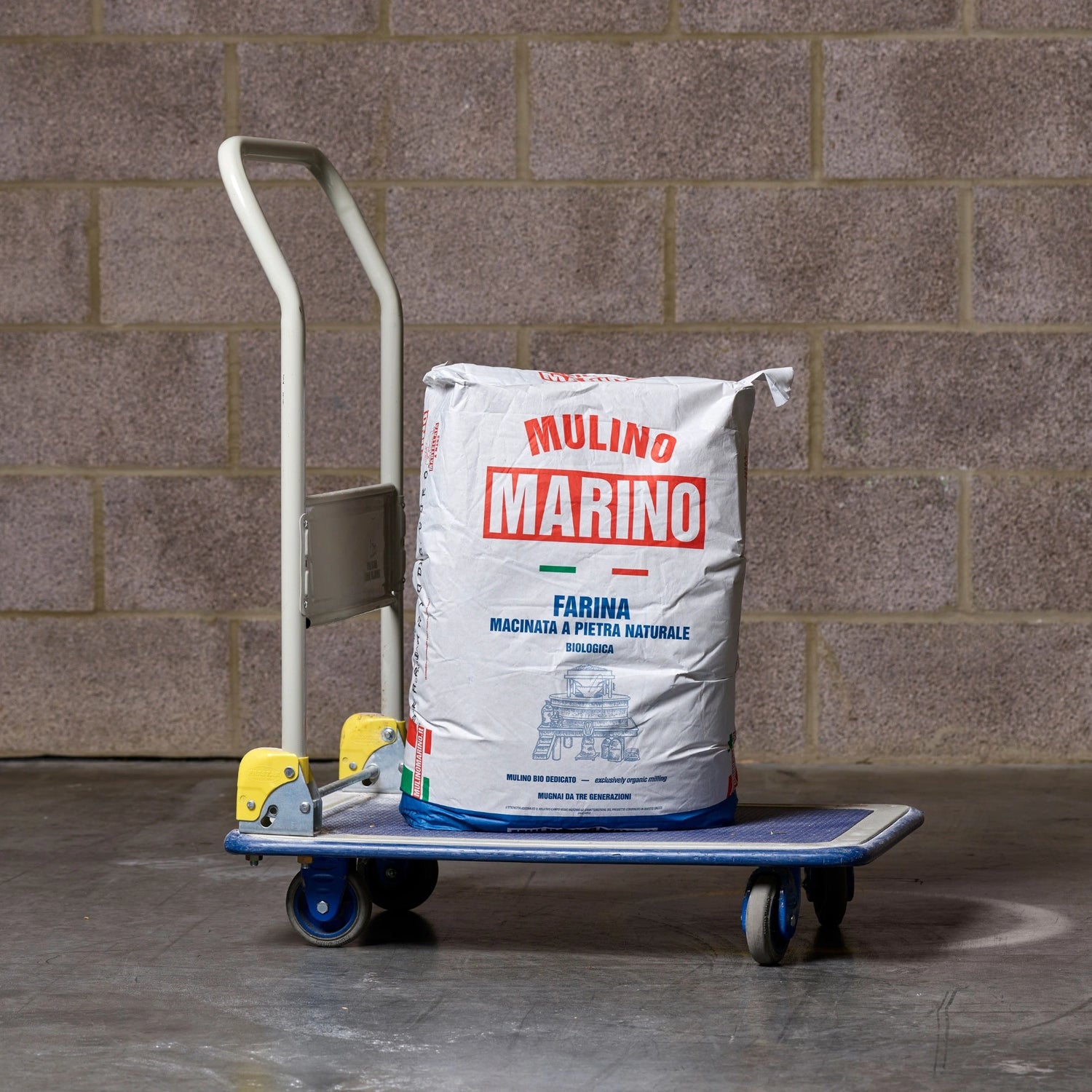 Mulino Marino Organic Sfarinato di Grano Duro (25kg/55lbs)